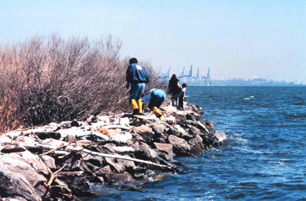 Volunteers collecting debris along a rocky shoreline during a coastal cleanup